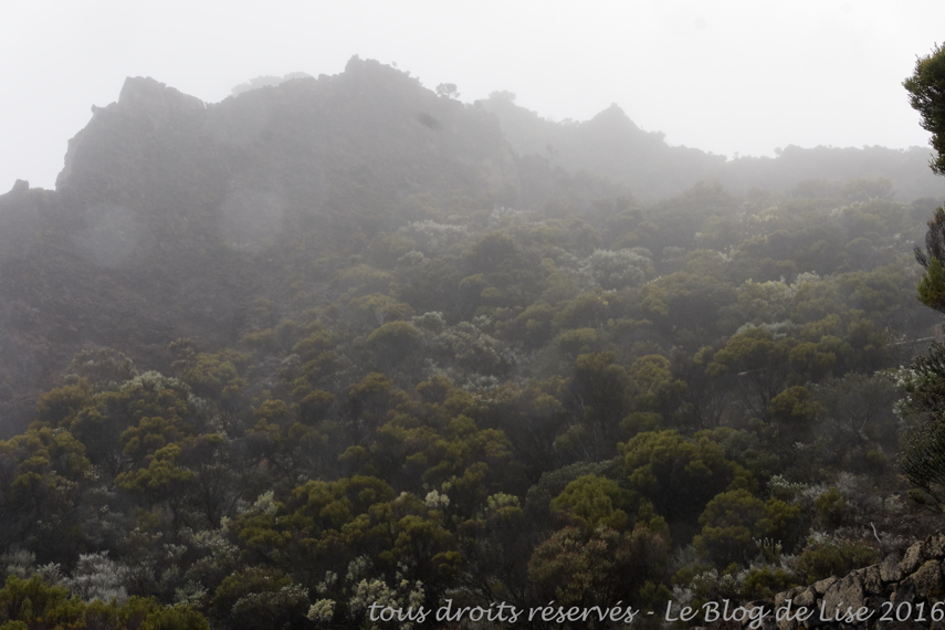DSC03036_DxO