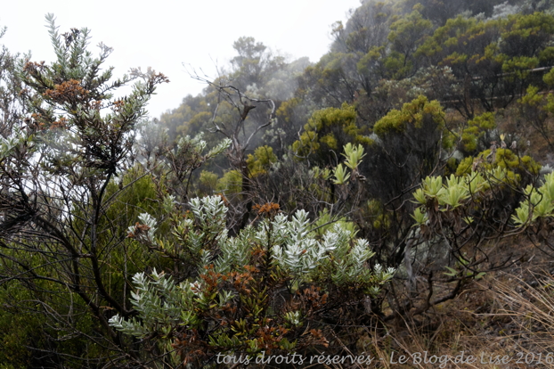 DSC03038_DxO