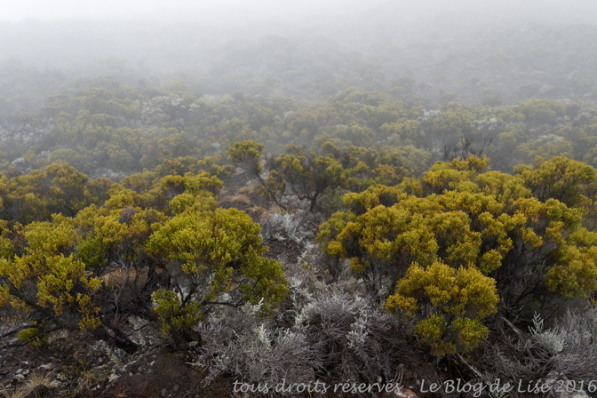 DSC03044_DxO