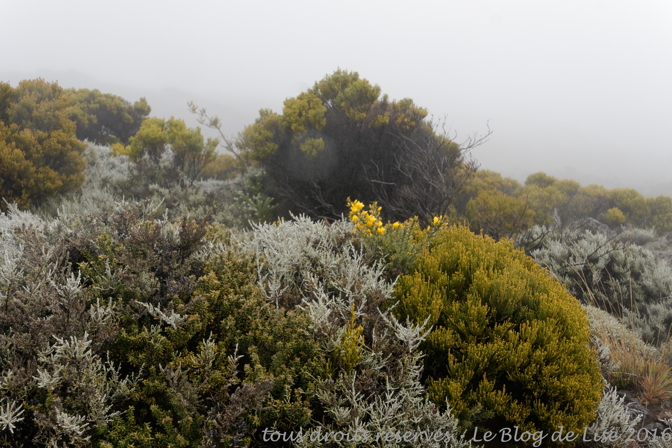 DSC03045_DxO