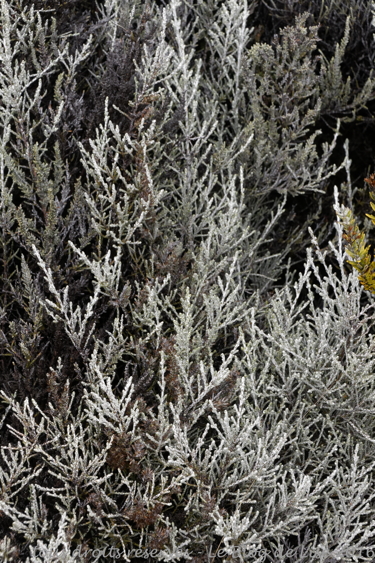 DSC03047_DxO