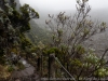 DSC03029_DxO
