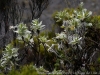 DSC03034_DxO