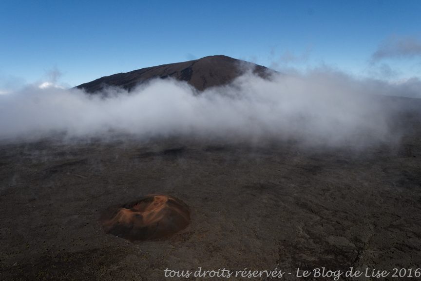 DSC03056_DxO