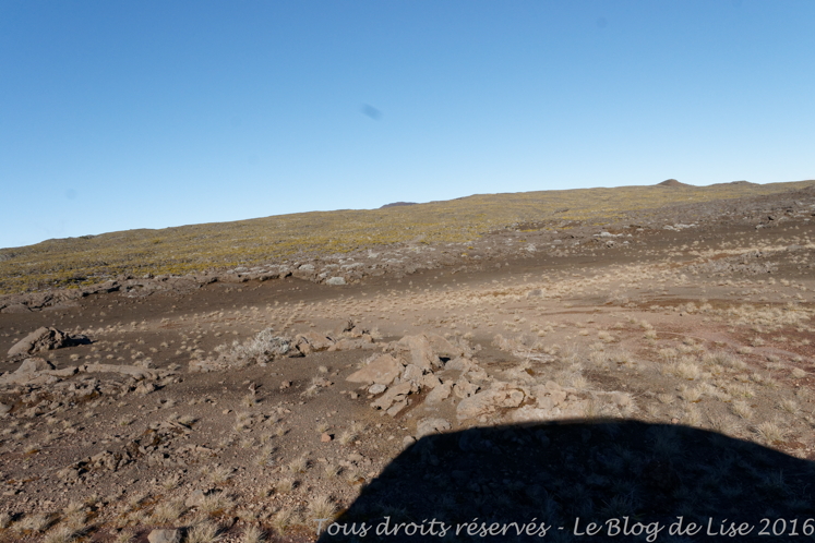 DSC03066_DxO
