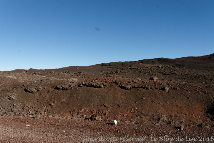 DSC03069_DxO