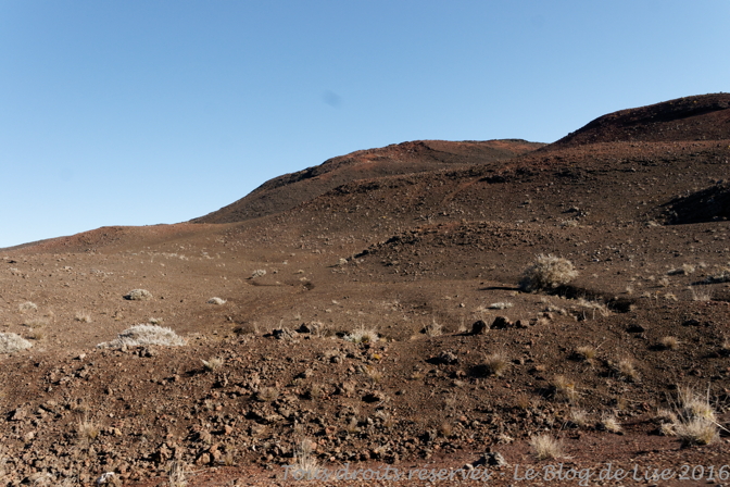 DSC03072_DxO
