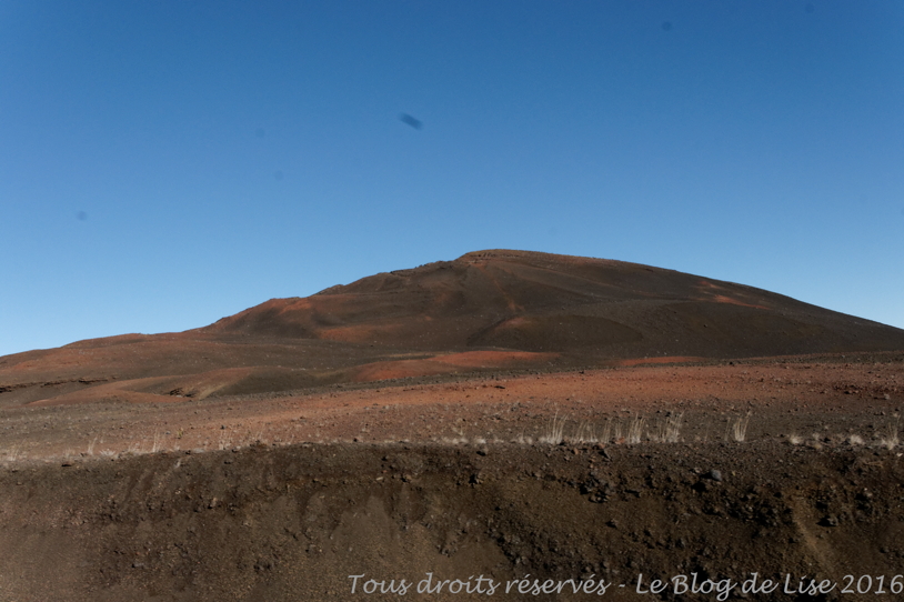 DSC03077_DxO