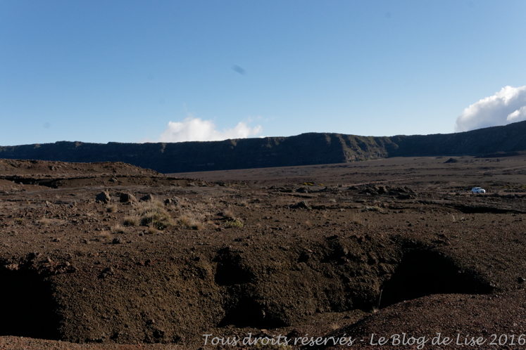 DSC03081_DxO