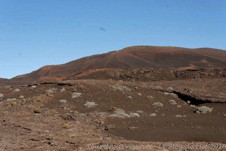 DSC03084_DxO
