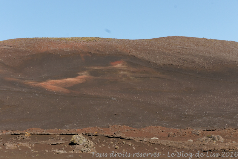 DSC03086_DxO