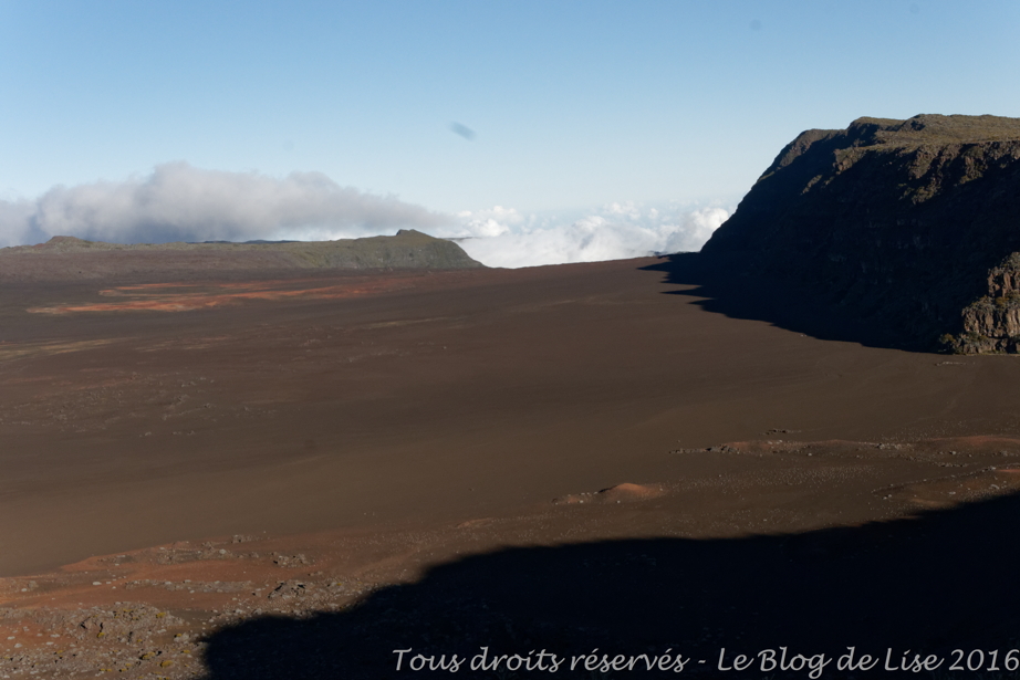DSC03101_DxO