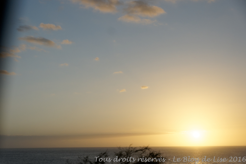 DSC03105_DxO