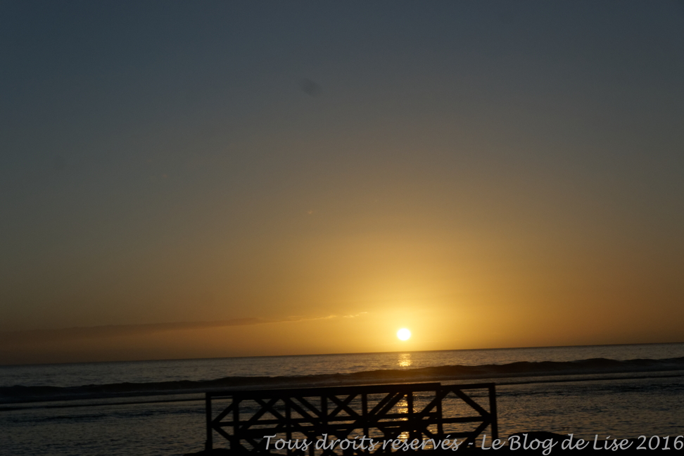 DSC03107_DxO