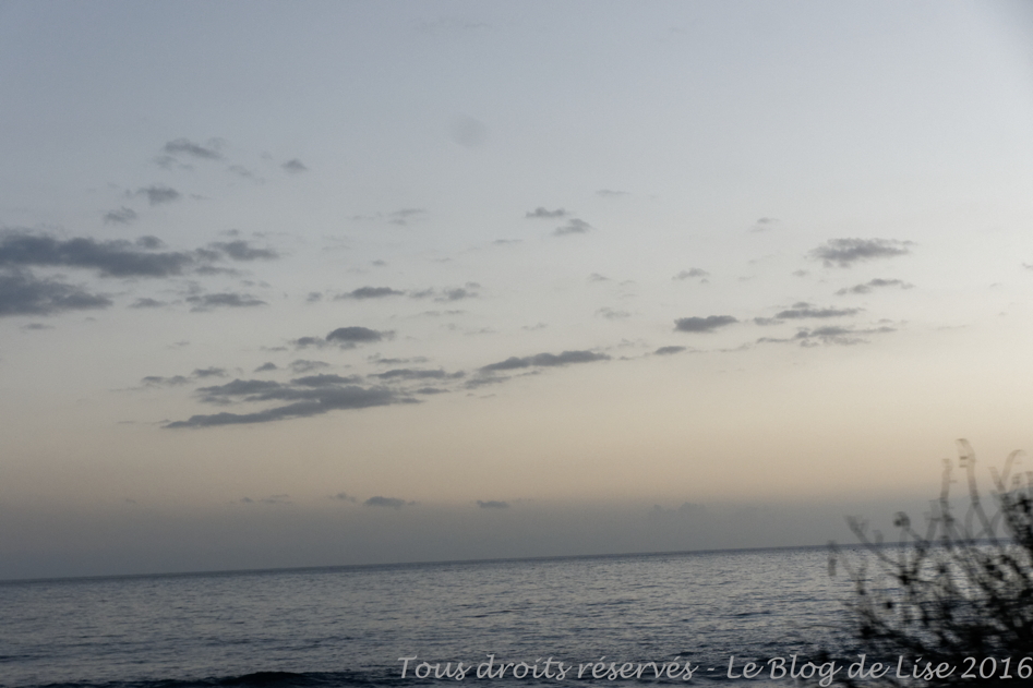 DSC03108_DxO