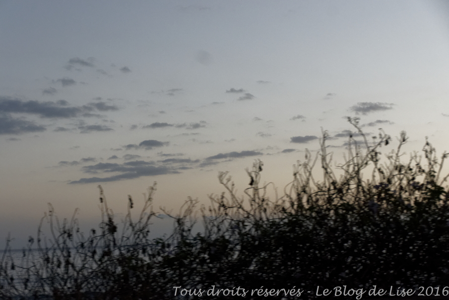 DSC03109_DxO