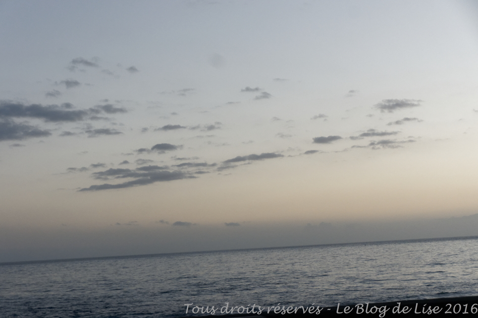 DSC03110_DxO