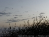 DSC03109_DxO