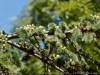 DSC03144_DxO