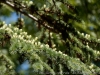 DSC03145_DxO