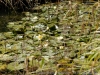 DSC03153_DxO