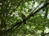 DSC03154_DxO