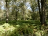 DSC03161_DxO