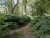 DSC03176_DxO