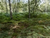 DSC03179_DxO