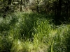 DSC03199_DxO