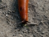 DSC03185_DxO