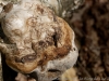 DSC03202_DxO