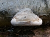 DSC03206_DxO