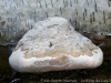 DSC03207_DxO