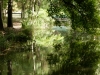 DSC03231_DxO