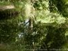 DSC03232_DxO