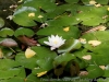 DSC03233_DxO