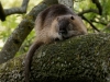 DSC03245_DxO