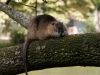 DSC03246_DxO