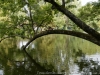 DSC03247_DxO