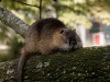 DSC03248_DxO