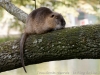 DSC03250_DxO