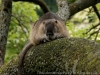 DSC03255_DxO