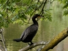 DSC03259_DxO