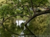 DSC03260_DxO