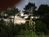IMG_5210_DxO
