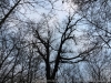 IMG_5382_DxO