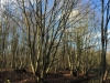 IMG_5387_DxO