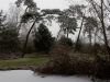 DSC03353_DxO