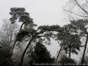 DSC03354_DxO